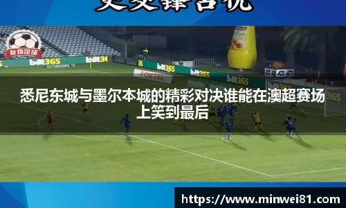 彩神彩票vIII